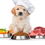 چه غذاهايي براي سگ من مناسب است؟