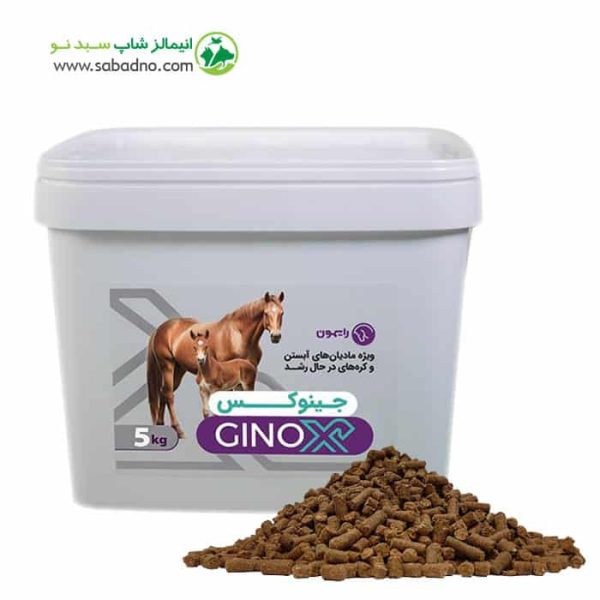 مکمل برای رشد کره اسب رایمون مدل جینوکس | ®GINOX وزن 5 کیلوگرم