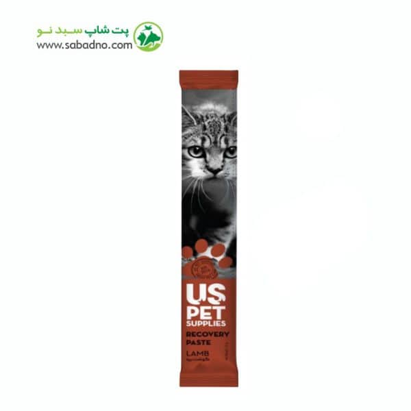 بستنی گربه برند یو اس پت مدل ریکاوری طعم گوشت بره وزن 20 گرم 1 عددی