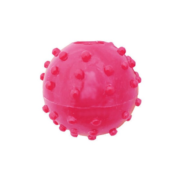 ball danniel dog اسباب بازی سگ برند دنیل توپی - تصویر 1