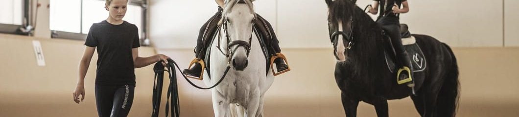 باشگاه پروین